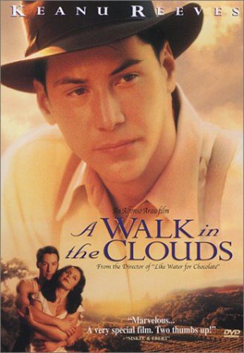 A Walk in the Clouds - 9421
