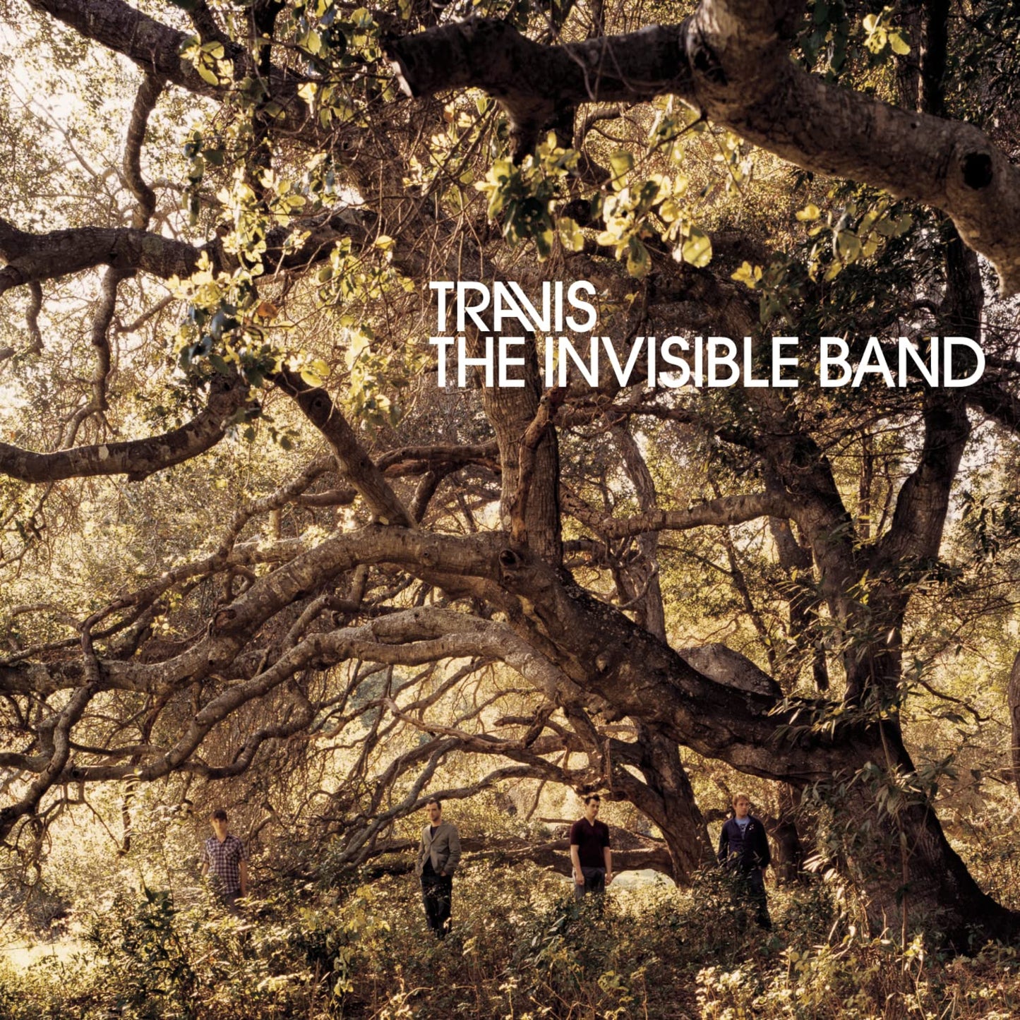 The Invisible Band - 6938