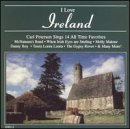 I Love to Sing Irish Songs - 4713