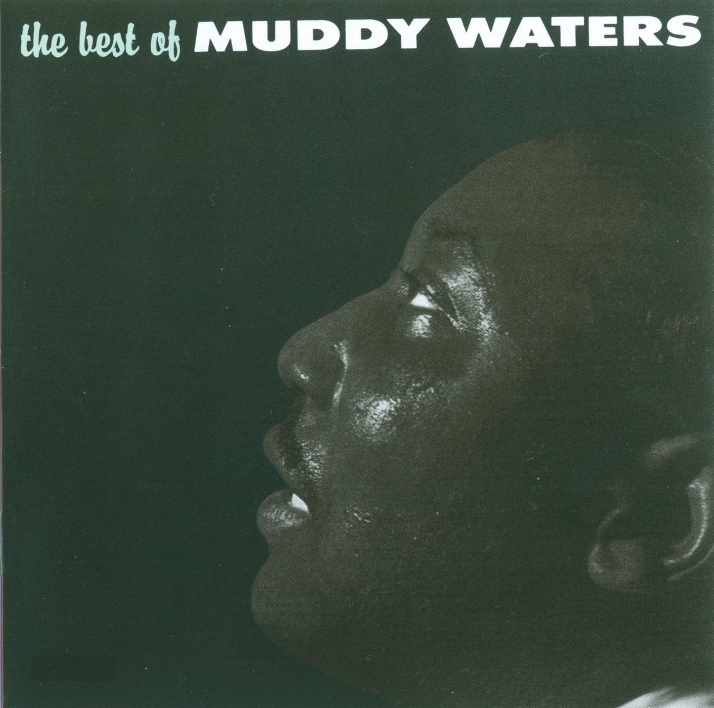 The Best of Muddy Waters - 6319