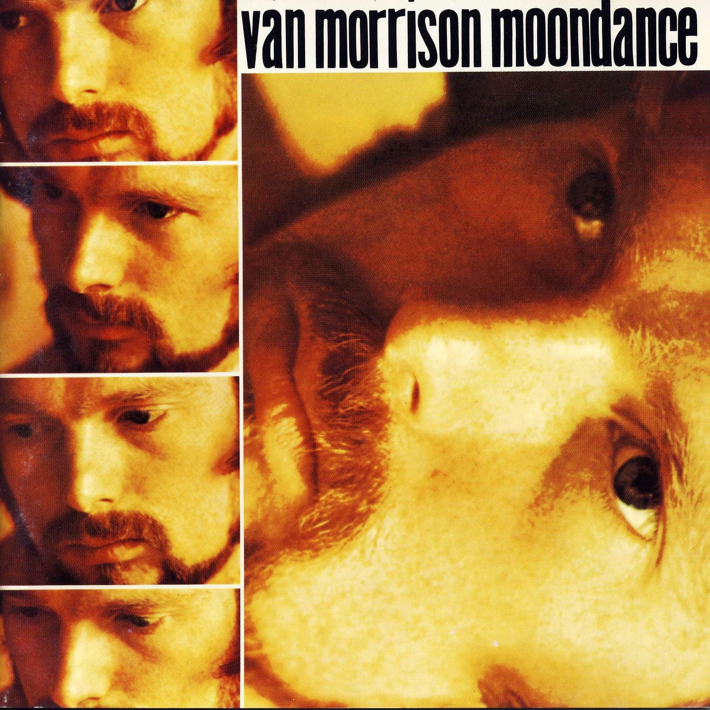 Moondance (CD) - 2994