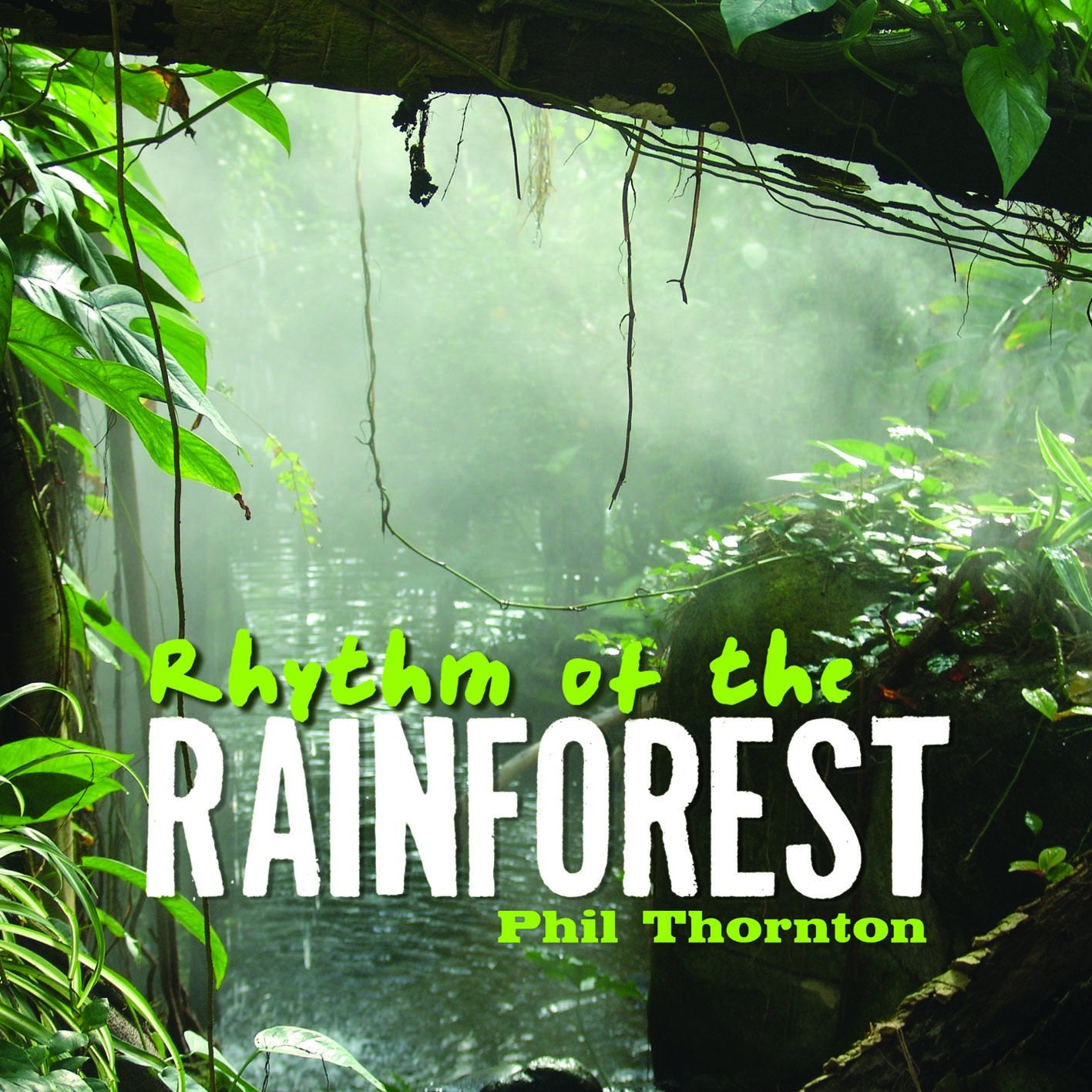 Rhythm of the Rainforest - 9160