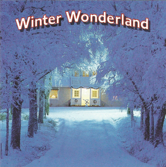 Winter Wonderland - 8334