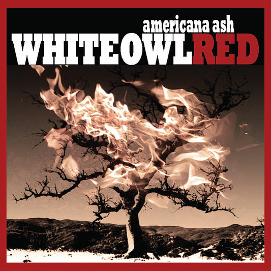 Americana Ash - 2433