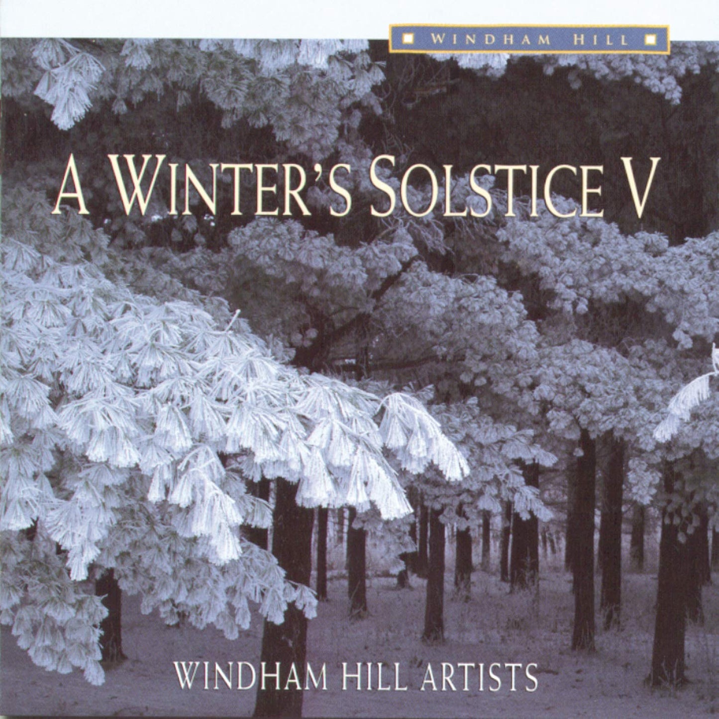 A Winter's Solstice V - 5595