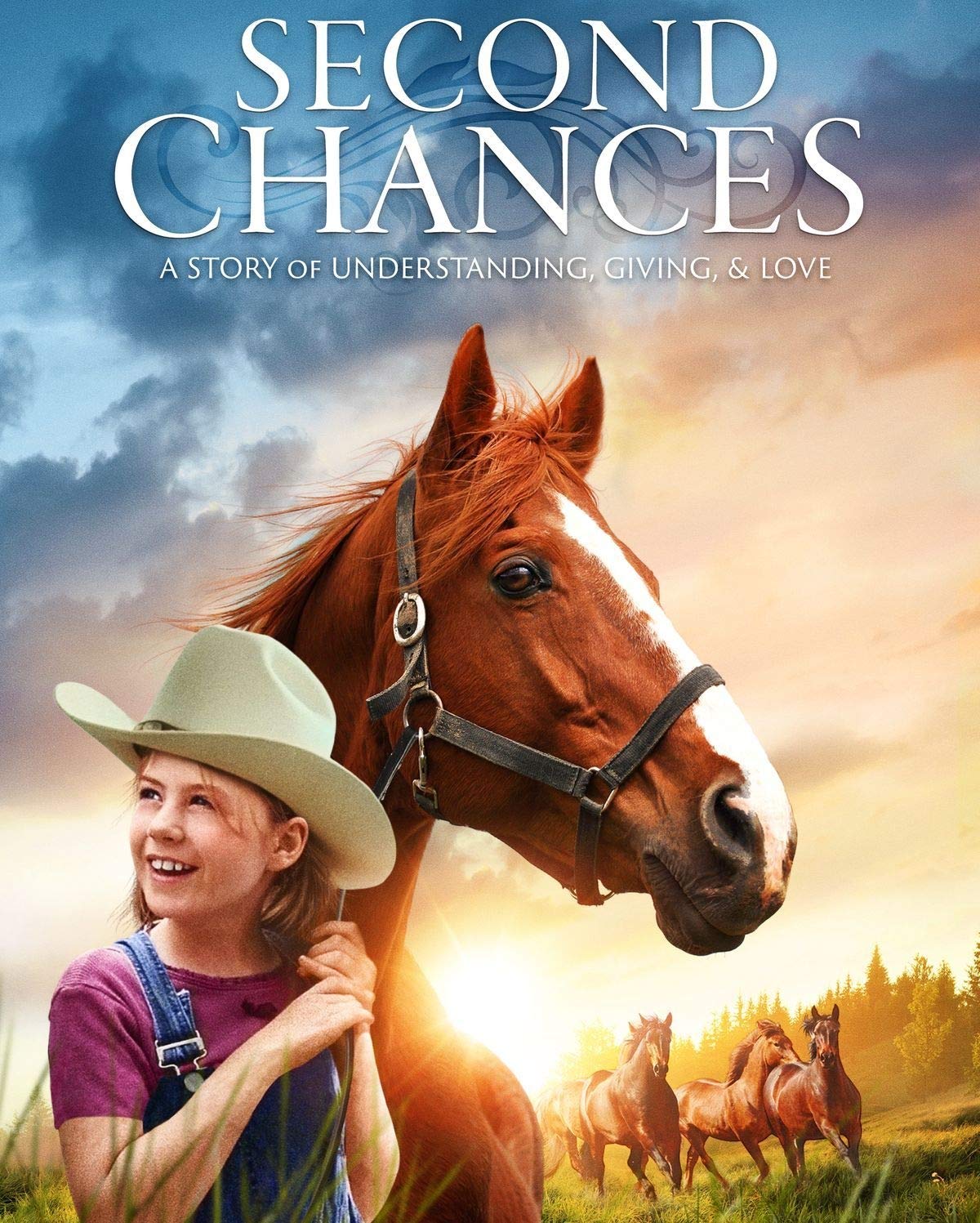 Second Chances DVD - 2753