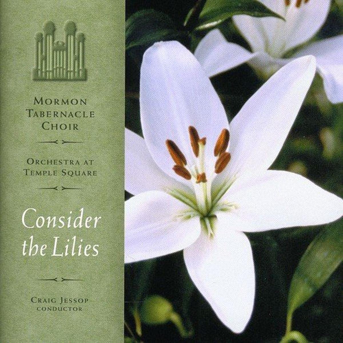 Consider the Lilies - 1924