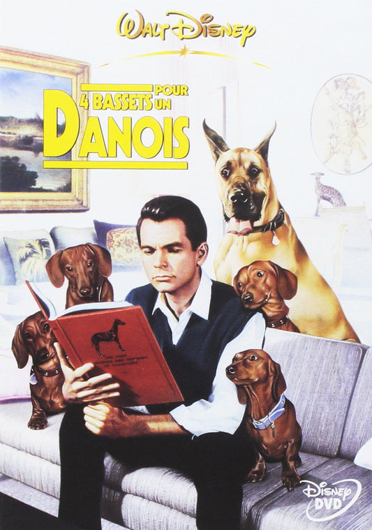 4 Bassets pour un danois - 8680