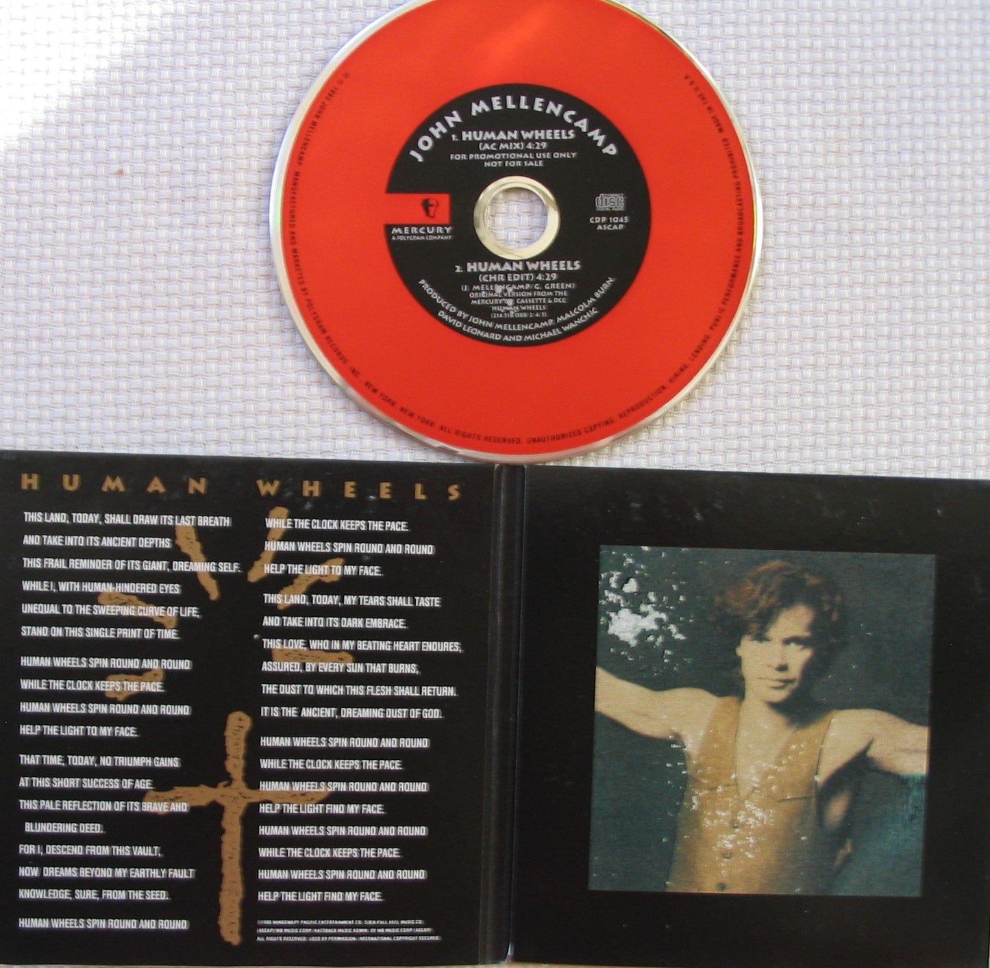 Human Wheels - 2003