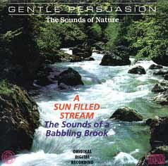 A Sun Filled Stream: The Sounds of a Babbling Brook - 3690