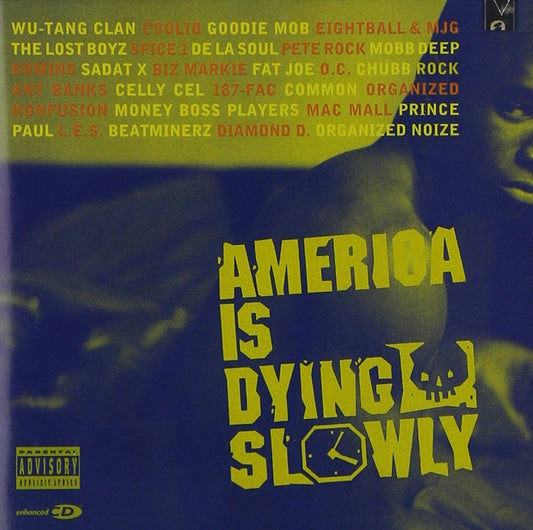 America Is Dying Slowly - 6103