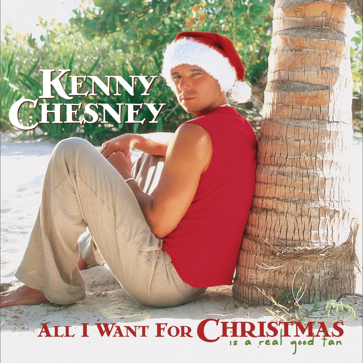 All I Want For Christmas Is A Real Good Tan - 4060