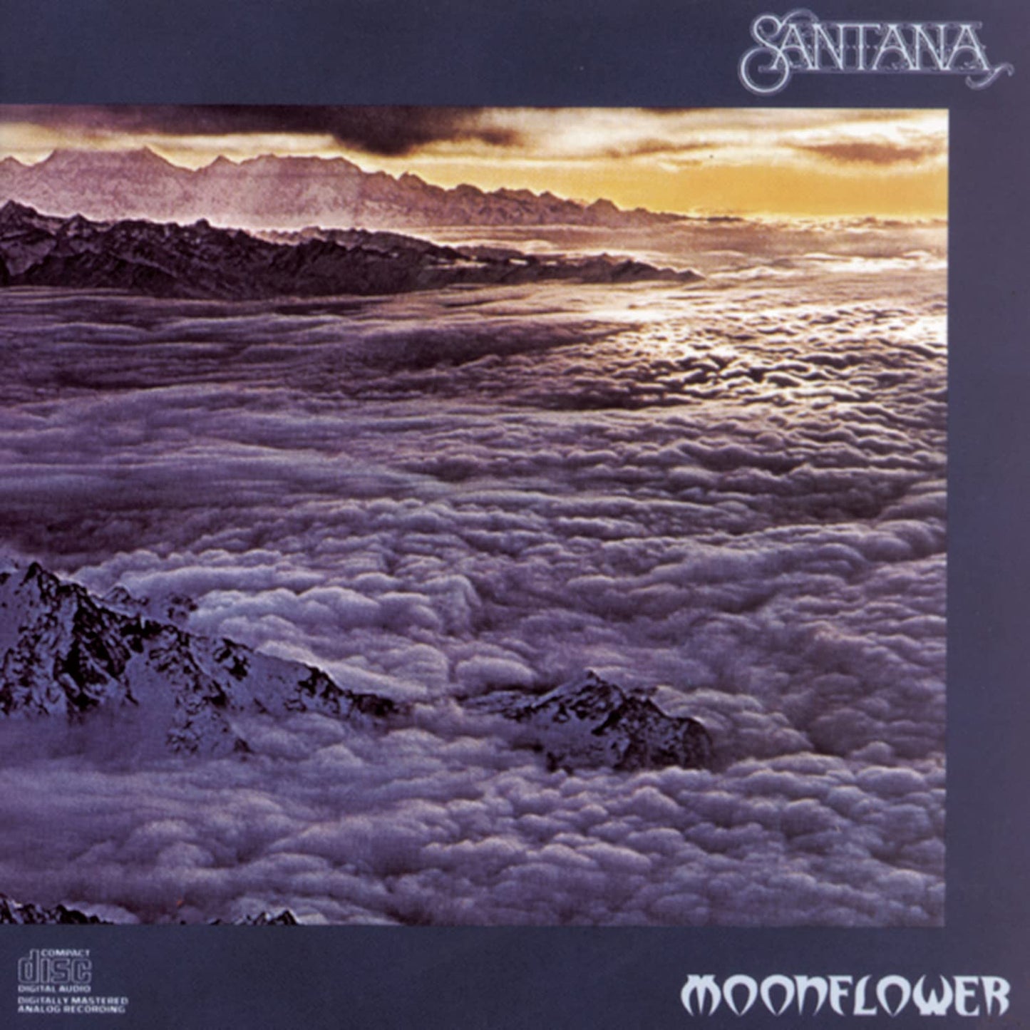 Moonflower - 1041