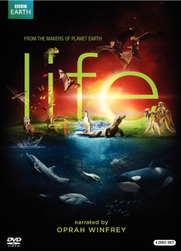 Life - 9702